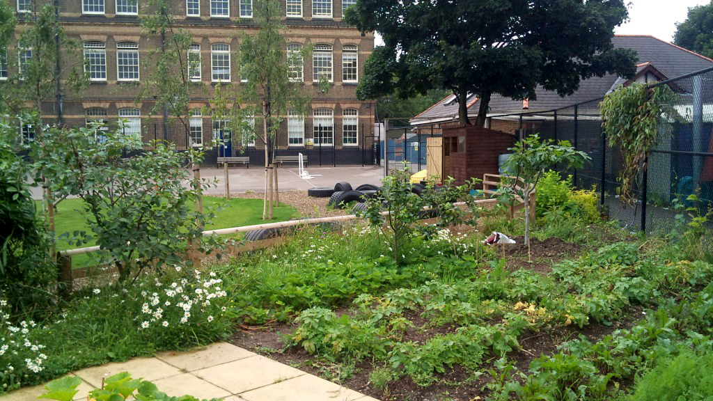 View of kitchen garden with school playgorund in background